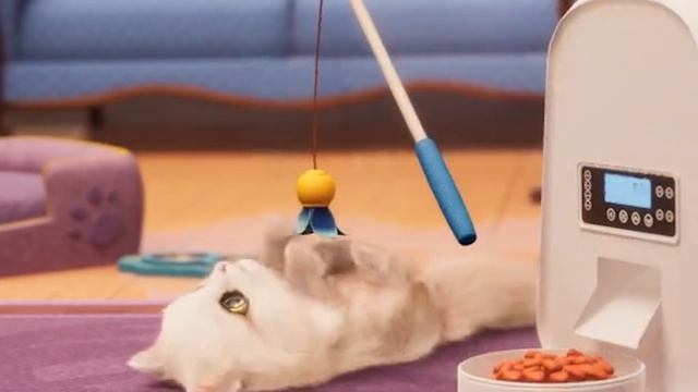 This cat game is super addictive！【Kitten Match】ep23 смотреть онлайн