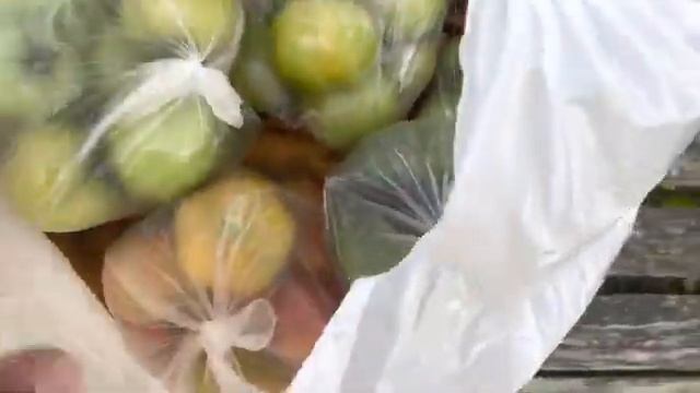 Моя любимая дача 26 августа 2022❤️Поливаю. Жара. Флоксы. Петунии. Гортензии.? смотреть онлайн