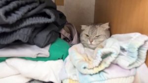 СЕЛА НА ЛИЦО?.....