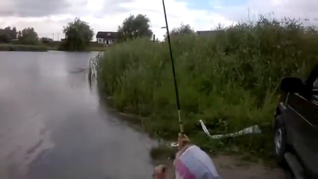 Сашенька взяла бычка на силикон смотреть онлайн