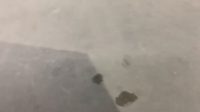 2017 VOLVO XC90 T5 смотреть онлайн