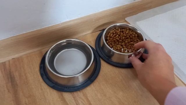 Второй покос газона/День детей/Купили королеву/Первый компот/Трудяжкины будни/Ремонт продолжается смотреть онлайн