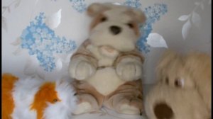 Party Pooch Singing and Dancing dog - Who let the dogs out!