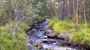 Архив. Фрагменты. 2015.  Кольский полуостров. 14.01.24.