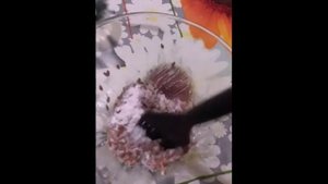 Секрет раскрыт! Форфоровое сияние. Маска с рисовой муки. Паспорт не указ возрасту! Домашние рецепты