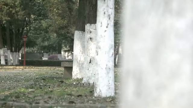 Моноколесо Legway Zero смотреть онлайн