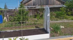 Парник и грядки женскими руками