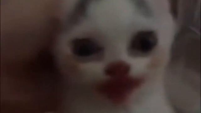 миша, ты что, пукнул? (пример мема) смотреть онлайн