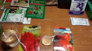 ПОСАДКА СЕМЯН ПЕРЦА🌶️ НА РАССАДУ. ПРЕДПОСЕВНАЯ ОБРАБОТКА СЕМЯН ПЕРЦА.