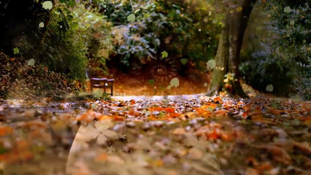 Красивая мелодия, несчастная любовь,слова, разрывающие сердце смотреть онлайн