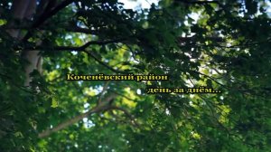 Коченевский район по итогам 2016 года.mp4