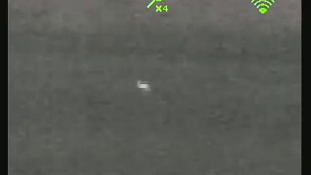 Dali s240 лиса 400 метров смотреть онлайн