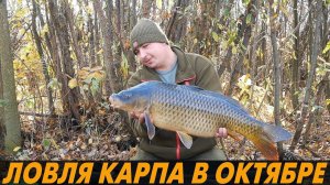 ЛОВЛЯ КАРПА ПОЗДНЕЙ ОСЕНЬЮ. ПРИКОРМКА и НАСАДКИ по холодной воде?! Высокополье