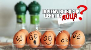 Почему выросли цены на яйца?