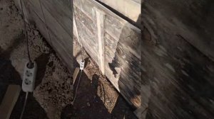 Монтаж опалубки, стяжки проволокой.