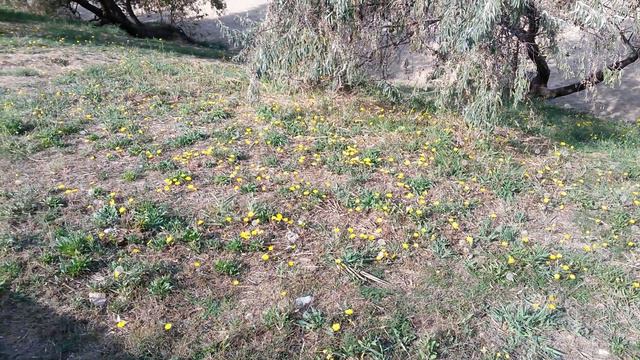 Последнее тепло сентября смотреть онлайн