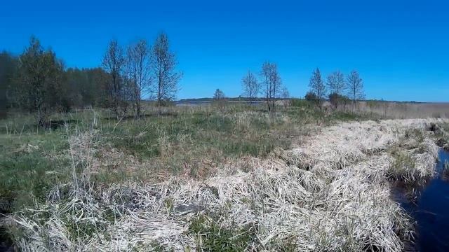 Рыбачим в районе Скнятино смотреть онлайн