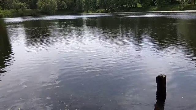 Каскадные пруды в Лефортово вверх