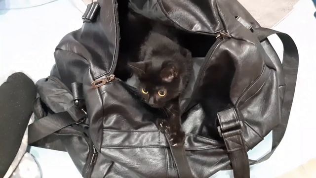 Сборы на свадьбу. Что мы берём с собой на 4 дня в Красноярск. смотреть онлайн