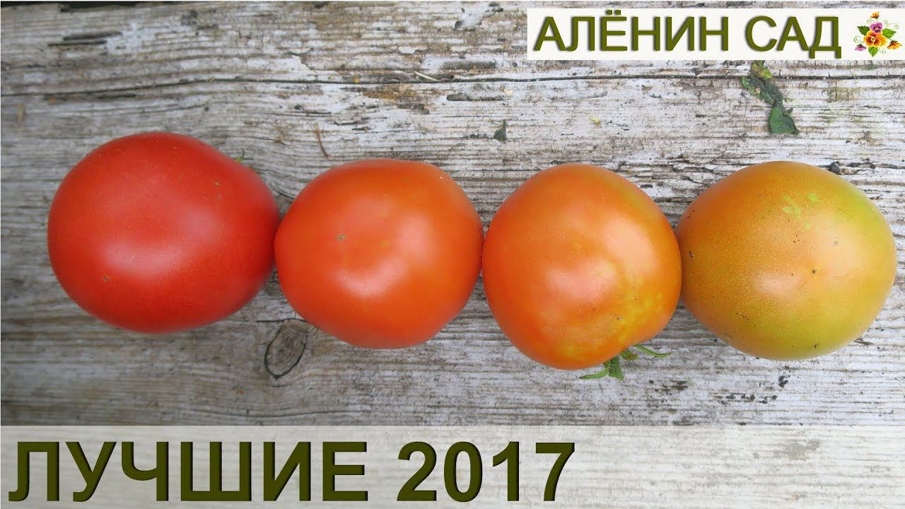 Лучшие томаты 2017  Сорта и гибриды  Теплица и открытый грунт  22 сорта