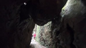 Twin Falls, Springbrook National Park