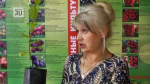 Яблоневый сад в Зауралье