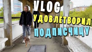 VLOG ● УДОВЛЕТВОРИЛ ПОДПИСЧИЦУ