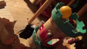 морская свинка Белочка замок дек 2021