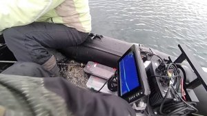 Пелагический судак в Болгарии. Февраль 2023.