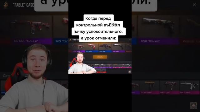 Стендофф2 мем