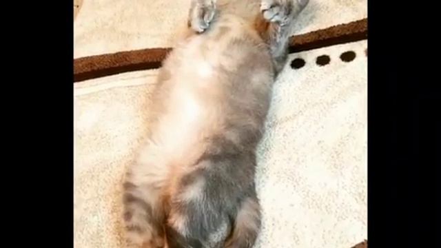 После рабочего дня смотреть онлайн