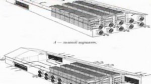 Как Дома держать Бройлеров