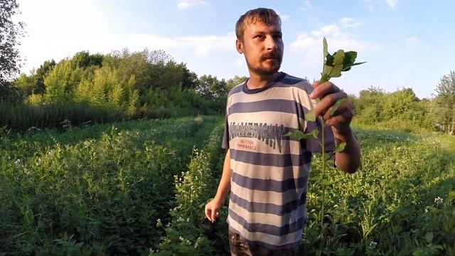 РУССКАЯ ГЛУБИНКА. ЕДЕМ В ГОСТИ.