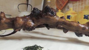 На что нарастить мох в аквариуме? Наращиваем мох на корягу!