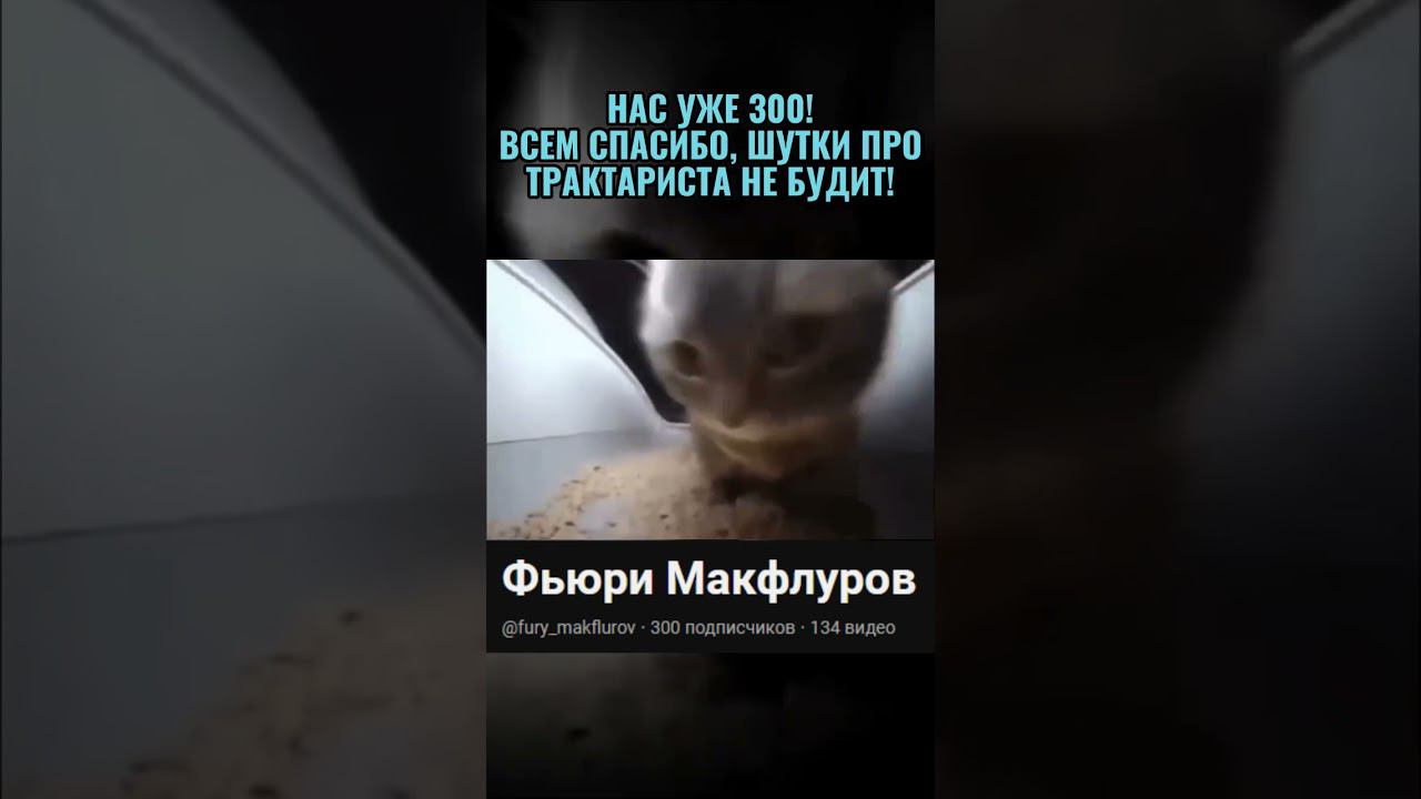 юбилей#shortsvideo #shorts #chipichipi #чипи #чипичипичапачапа #dubidubidu #meme #memes #achievement