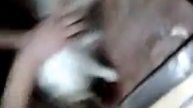 милый кот вытирает стол :3 смотреть онлайн