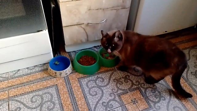 Впасть в творческий расцвет,жаворонки по-моему смотреть онлайн