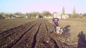 Культивация фрезами Верхом на мотоблоке Такого вы не видели))