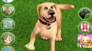 Прикольная собака поёт и танцует собачий вальс