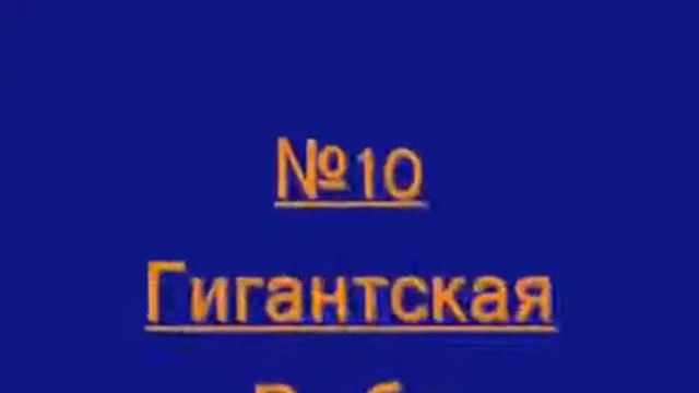 Очень большие животные.Подборка смотреть онлайн