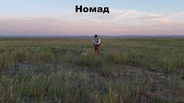 Полевые занятия 23 07 22 смотреть онлайн