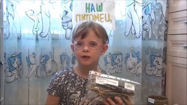 ПОКУПКИ для ШИНШИЛЛЫ - Советы для начинающих шиншилловодов  - ЗООМАГАЗИН у нас дома
