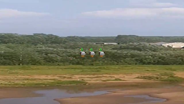 вятка-❤киров🧡-лето💛 смотреть онлайн