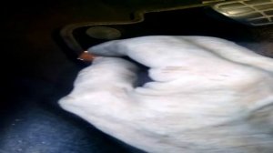 Seat Toledo 1,6 не выключается двигатель после поворота ключа зажигания.