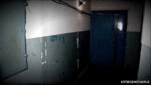 Страшные истории на ночь - ЖЕСТЬ ИЗ ПУСТОЙ КВАРТИРЫ...