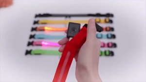 Светящийся ошейник для Собаки! ТОП 3 светящихся ошейников + бонус!