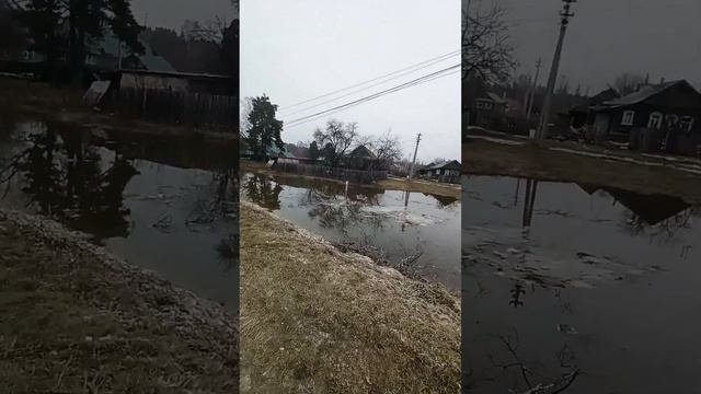 Затопление С.Пошатово  течет вода по улице Центральная Нижегородская Область Арзамасский Район