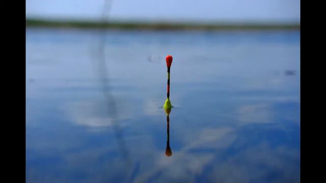 Любительская рыбалка в удовольствие смотреть онлайн