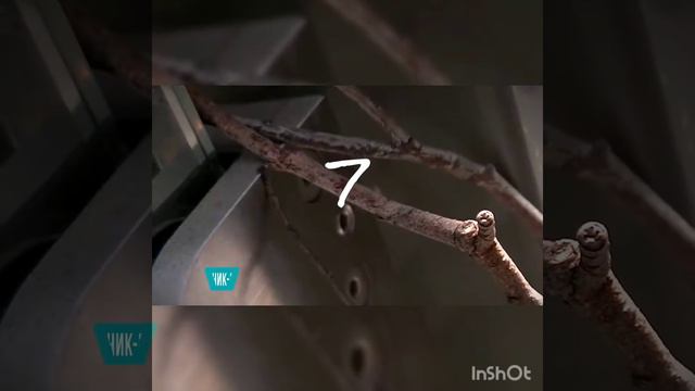 Факты | в эти Размеры не Возможно Поверить | оценка каналов смотреть онлайн