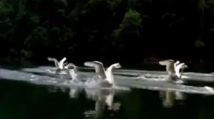 Зиннур - Тукта, конвой